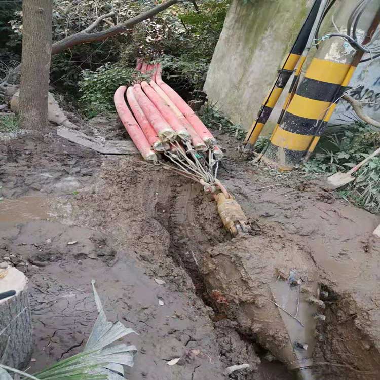 昌邑武汉焊接涂装线拖拉管